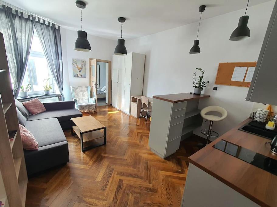 Apartament Przy Szkole Filmowej, Darmowy Parking ウッチ エクステリア 写真
