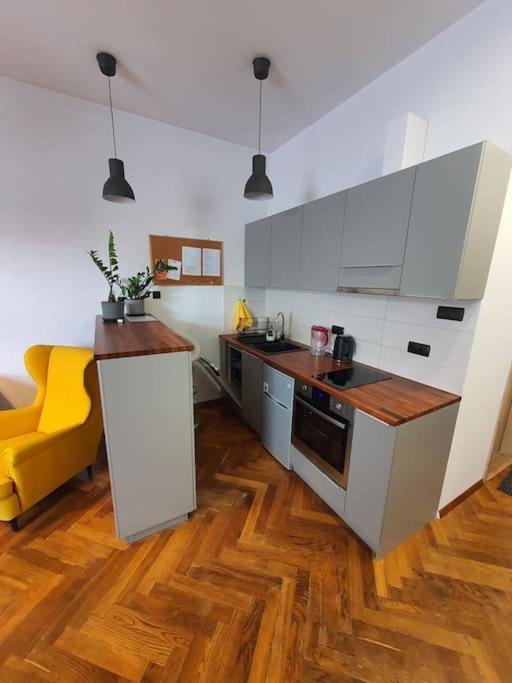 Apartament Przy Szkole Filmowej, Darmowy Parking ウッチ エクステリア 写真
