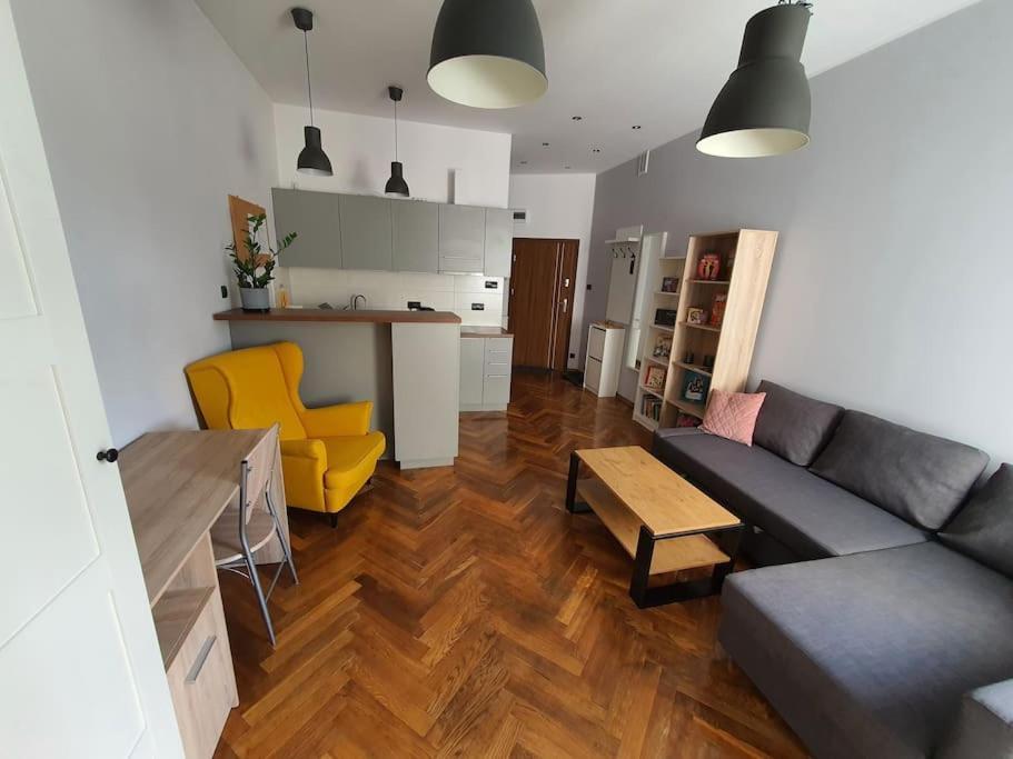 Apartament Przy Szkole Filmowej, Darmowy Parking ウッチ エクステリア 写真